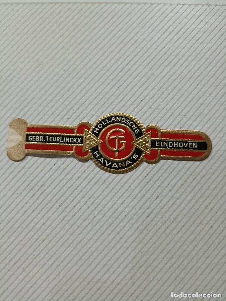 Vitolas de colecci&oacute;n: Vitola gebr. Teurlinkx eindhoven hollandsche havana's