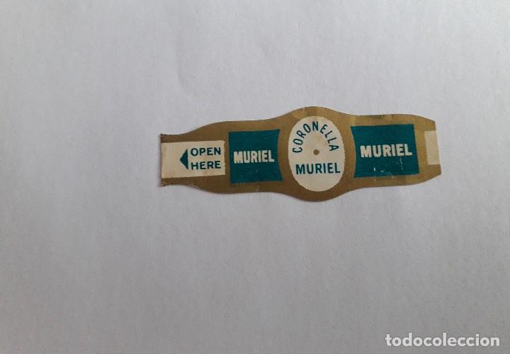 Vitolas de colecci&oacute;n: vitola de puro, Coronella, Muriel