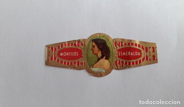 Vitolas de colecci&oacute;n: vitola de puro, Montijos, Esmeralda.