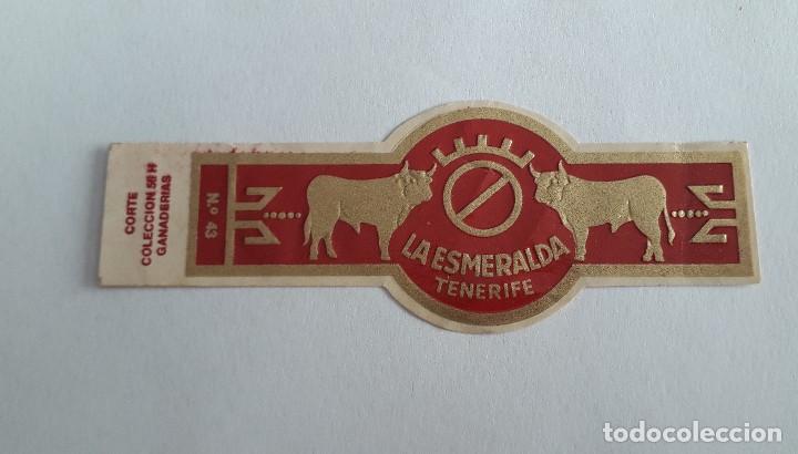 Vitolas de colecci&oacute;n: vitola de puro, la esmeralda, Tenerife, Corte, colecci&oacute;n n&ordm; 56-H, ganader&iacute;as.