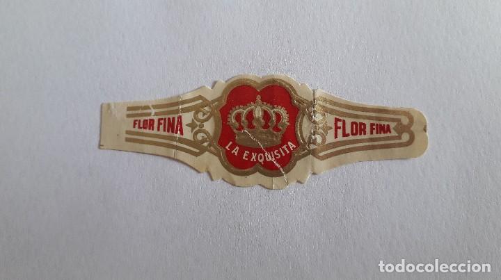 Sammlung von Banderolen: vitola de puro, La exquisita, flor fina.