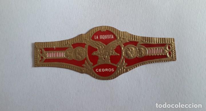 Sammlung von Banderolen: vitola de puro, La exquisita, cedros.
