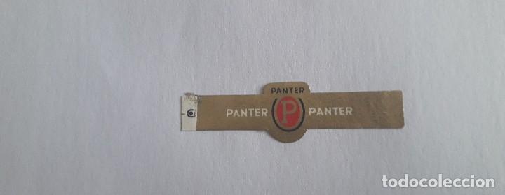Sammlung von Banderolen: vitola de puro, Panter.