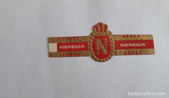 Sammlung von Banderolen: vitola de puro, Nereida.