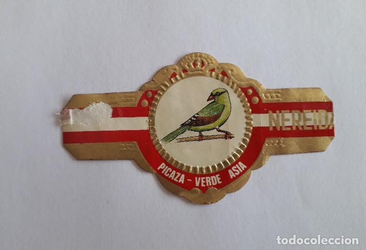 Vitolas de colecci&oacute;n: vitola de puro, Nereida, serie p&aacute;jaros. Picaza verde, Asia.