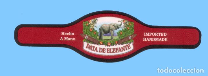 Vitolas de colecci&oacute;n: VITOLA ANTIGUA - MARCA PATA DE ELEFANTE. PROCEDENCIA FILIPINAS - TEM&Aacute;TICA FAUNA - ELEFANTE