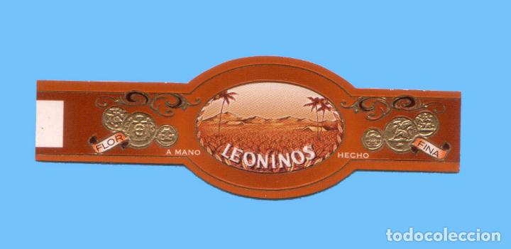 An&eacute;is de charuto de cole&ccedil;&atilde;o: VITOLA ANTIGUA - MARCA LEONINOS - PAISAJE CON PALMERAS