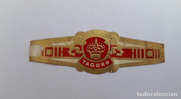 Vitolas de colecci&oacute;n: vitola de puro, tagoro - Foto 1