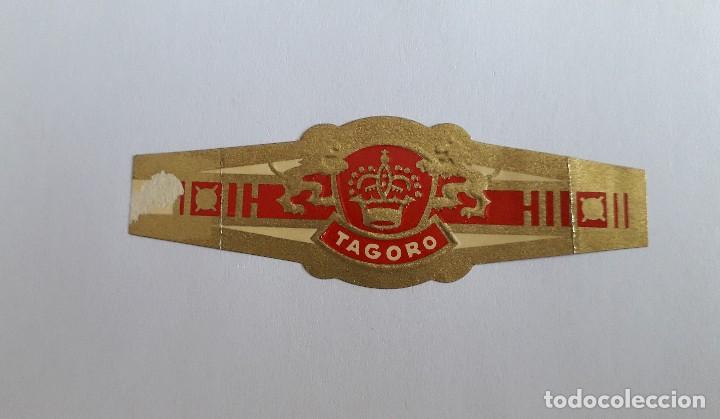 Vitolas de colecci&oacute;n: vitola de puro, tagoro - Foto 1