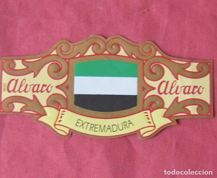 Sammlung von Banderolen: VITOLA CIGARCANARIA - ALVARO PE&Ntilde;AMIL - LA FAMA - COLECCI&Oacute;N ESPA&Ntilde;A EN EUROPA - BANDERAS - EXTREMADURA