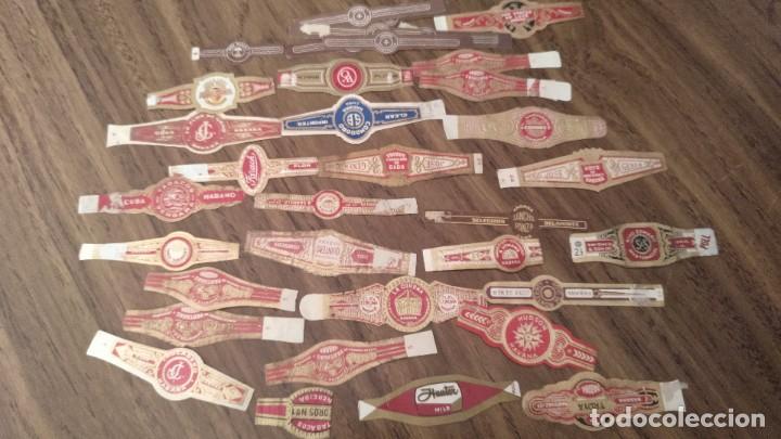 Vitolas de colecci&oacute;n: Quex VT143 - 30 VITOLAS VARIADAS - Foto 1