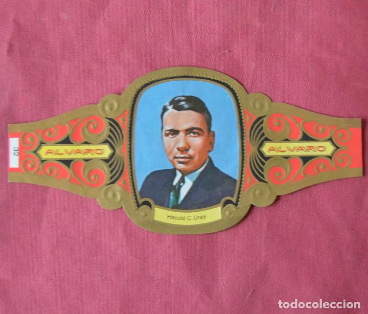 Collection cigar bands: VITOLA ALVARO - SERIE PREMIOS NOBEL - QUIMICA - N&ordm; 32