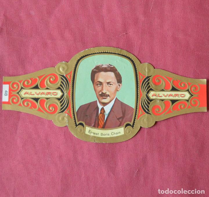 Collection cigar bands: VITOLA ALVARO - SERIE PREMIOS NOBEL - MEDICINA Y FISIOLOGIA - N&ordm; 48