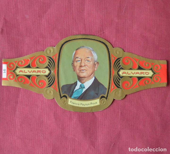 Collection cigar bands: VITOLA ALVARO - SERIE PREMIOS NOBEL - MEDICINA Y FISIOLOGIA - N&ordm; 91