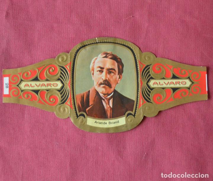 Collection cigar bands: VITOLA ALVARO - SERIE PREMIOS NOBEL - PAZ - N&ordm; 28