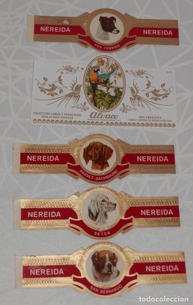 Vitolas de colecci&oacute;n: LOTE DE 5 VITOLAS-VARIAS - Foto 1