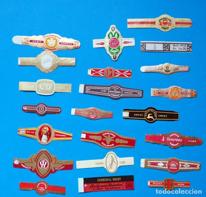 Vitolas de colecci&oacute;n: LOTE DE VITOLAS - Foto 1