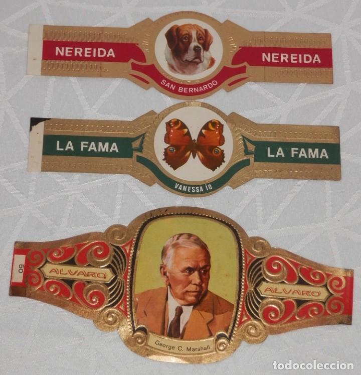 Vitolas de colecci&oacute;n: LOTE DE 3 VITOLAS-VARIAS - Foto 1