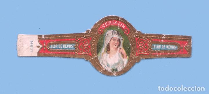 Sammlung von Banderolen: VITOLA ANTIGUA - MARCA VESTALIN. PROCEDENCIA B&Eacute;LGICA (BRUJAS) - TEM&Aacute;TICA MUJERES