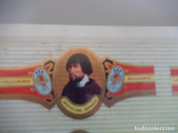 Bagues de cigare de collection: VITOLA ALVARO , SERIE PINTORES BARTOLOME BERMEJO