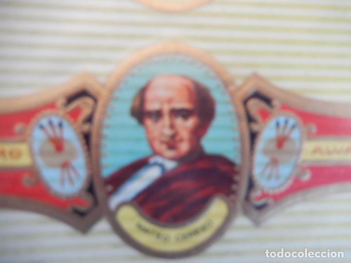 Bagues de cigare de collection: VITOLA ALVARO , SERIE PINTORES - MATEO CEREZO