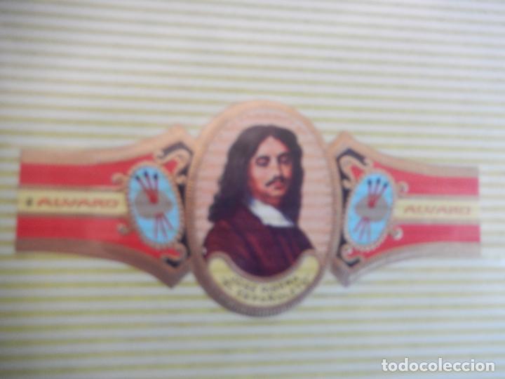 An&eacute;is de charuto de cole&ccedil;&atilde;o: VITOLA ALVARO , SERIE PINTORES - JOSE RIBERA EL ESPA&Ntilde;OLETO