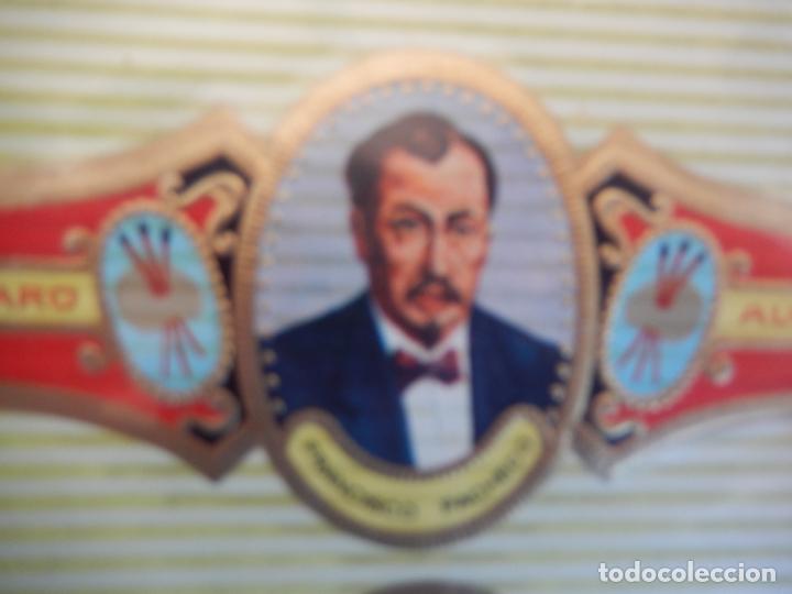 An&eacute;is de charuto de cole&ccedil;&atilde;o: VITOLA ALVARO , SERIE PINTORES - FRANCISCO PACHECO