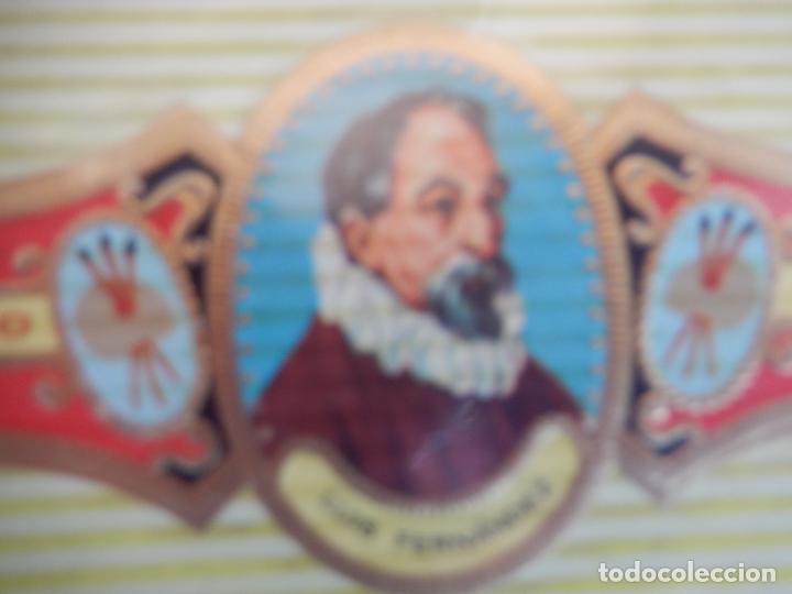 An&eacute;is de charuto de cole&ccedil;&atilde;o: VITOLA ALVARO , SERIE PINTORES -LUIS FERNANDEZ