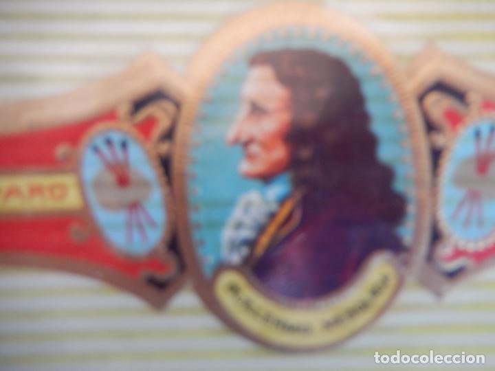 An&eacute;is de charuto de cole&ccedil;&atilde;o: VITOLA ALVARO , SERIE PINTORES - GUILLERMO MESQUIDA