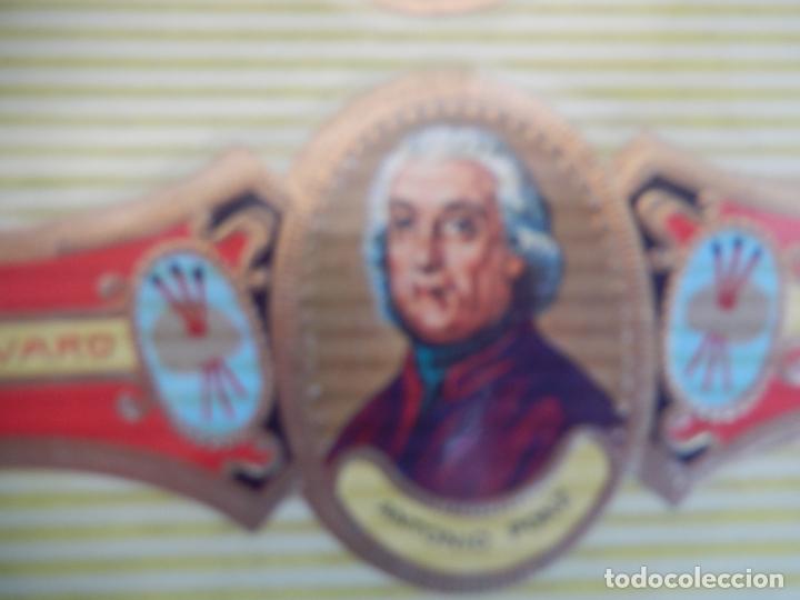 An&eacute;is de charuto de cole&ccedil;&atilde;o: VITOLA ALVARO , SERIE PINTORES - ANTONIO PONZ