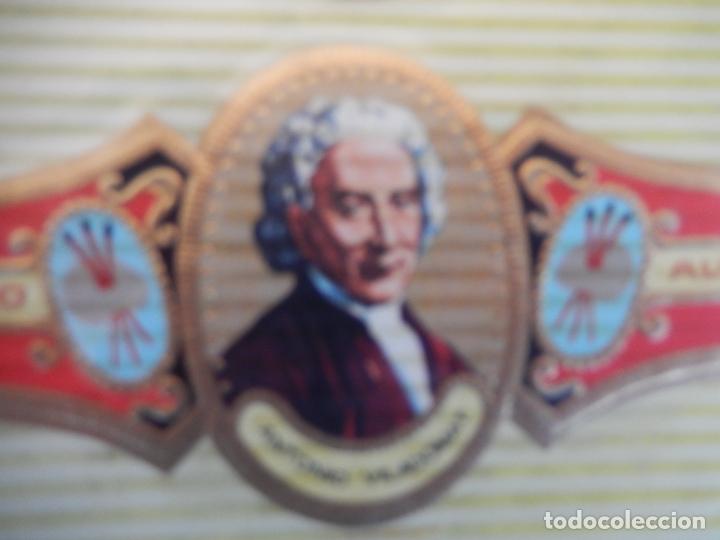 An&eacute;is de charuto de cole&ccedil;&atilde;o: VITOLA ALVARO , SERIE PINTORES - ANTONIO VILADOMAT