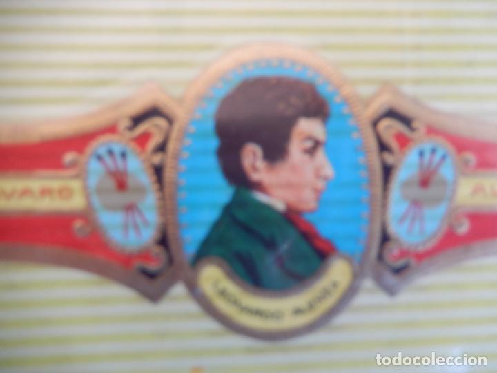 An&eacute;is de charuto de cole&ccedil;&atilde;o: VITOLA ALVARO , SERIE PINTORES - LEONARDO ALENZA