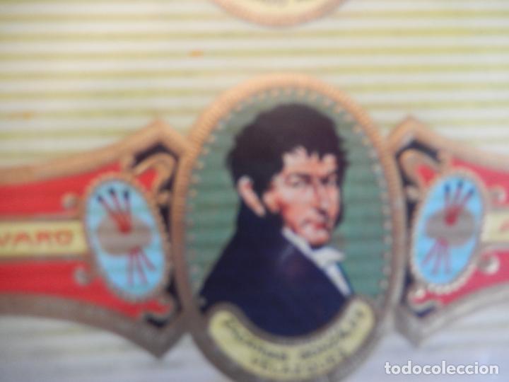 An&eacute;is de charuto de cole&ccedil;&atilde;o: VITOLA ALVARO , SERIE PINTORES - ZACARIAS GONZALEZ VELAZQUEZ