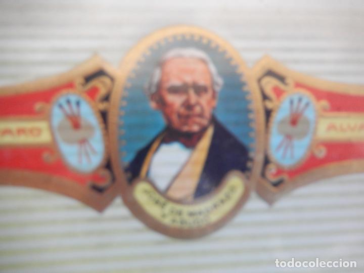 An&eacute;is de charuto de cole&ccedil;&atilde;o: VITOLA ALVARO , SERIE PINTORES - JOSE DE MADRAZO Y AGUDO