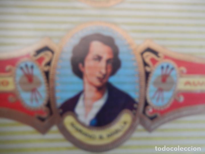 An&eacute;is de charuto de cole&ccedil;&atilde;o: VITOLA ALVARO , SERIE PINTORES- MARIANO S MAELLA