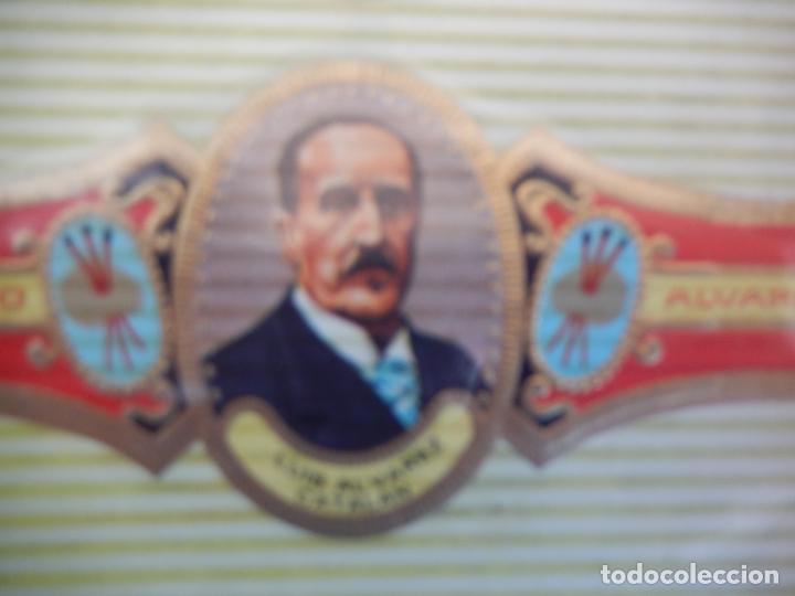 An&eacute;is de charuto de cole&ccedil;&atilde;o: VITOLA ALVARO , SERIE PINTORES - LUIS ALVAREZ CATALAN