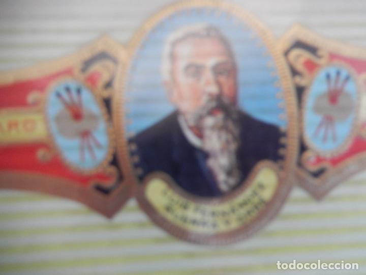 Vitolas de colecci&oacute;n: VITOLA ALVARO , SERIE PINTORES - LUIS FERNANDEZ GUERRA Y ORBE