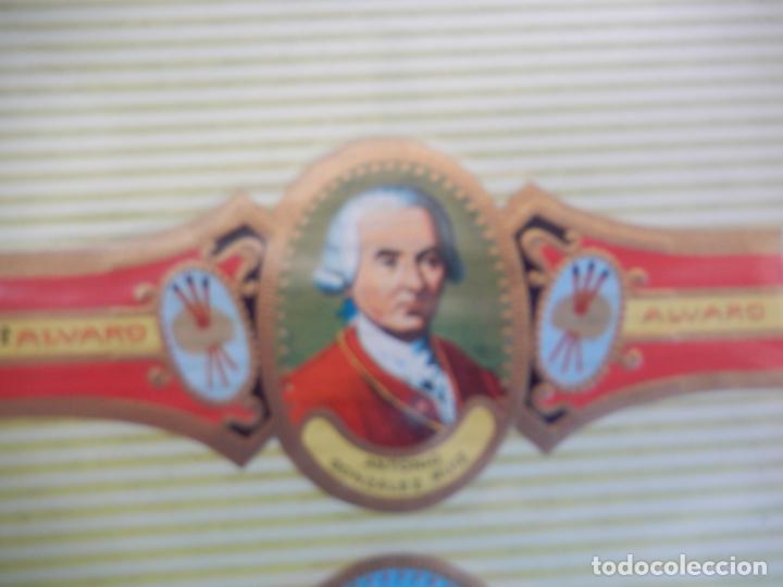 Vitolas de colecci&oacute;n: VITOLA ALVARO , SERIE PINTORES - ANTONIO GONZALEZ RUIZ