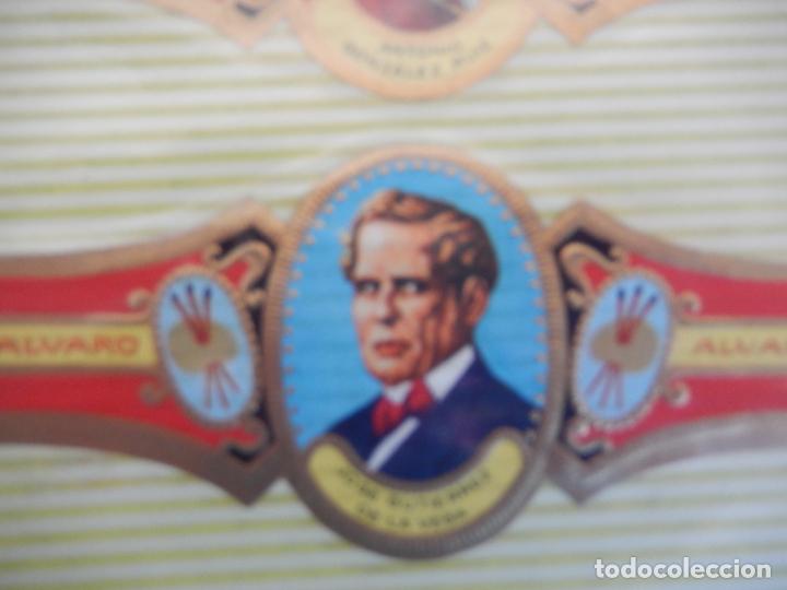 Vitolas de colecci&oacute;n: VITOLA ALVARO , SERIE PINTORES - JOSE GUTIERREZ DE LA VEGA