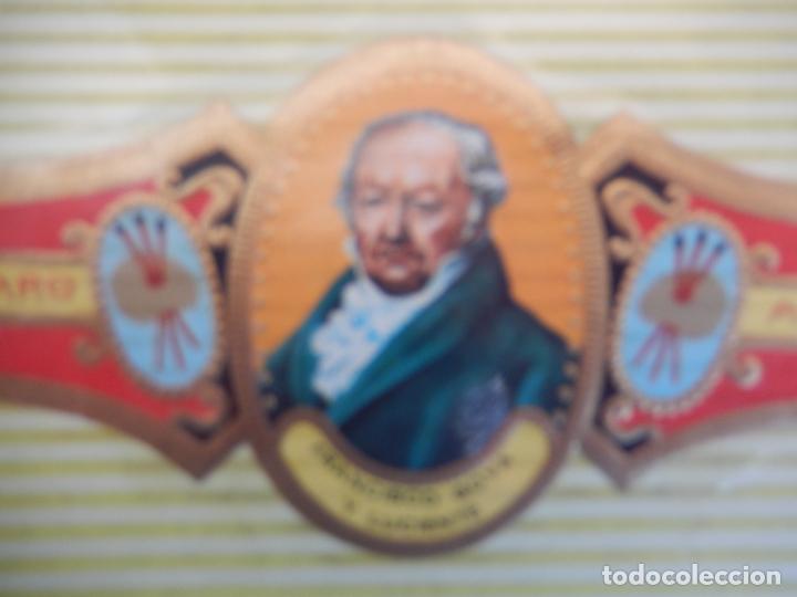 Vitolas de colecci&oacute;n: VITOLA ALVARO , SERIE PINTORES - FRANCISCO DE GOYA Y LUCIENTES