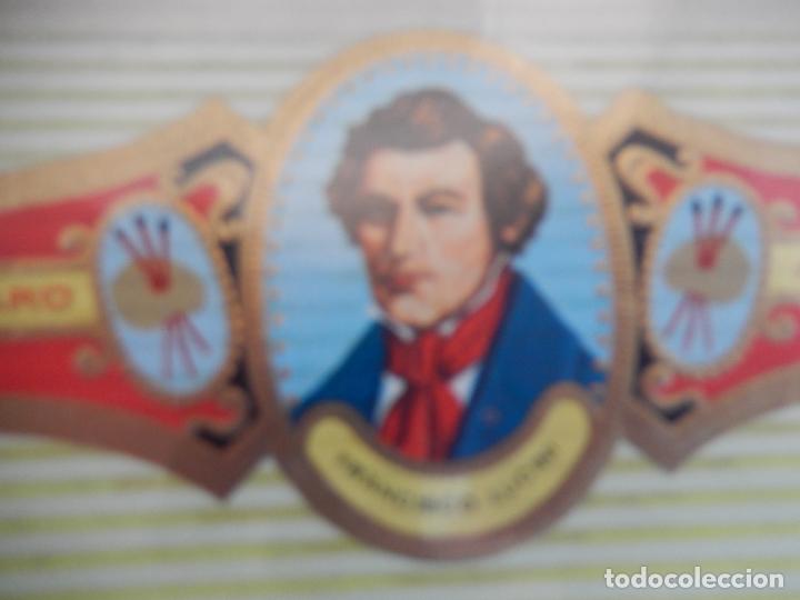 Sammlung von Banderolen: VITOLA ALVARO , SERIE PINTORES - FRANCISCO LUCINI