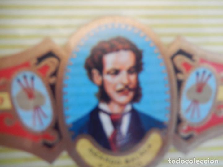 Vitolas de colecci&oacute;n: VITOLA ALVARO , SERIE PINTORES - RICARDO BALACA Y CANSECO