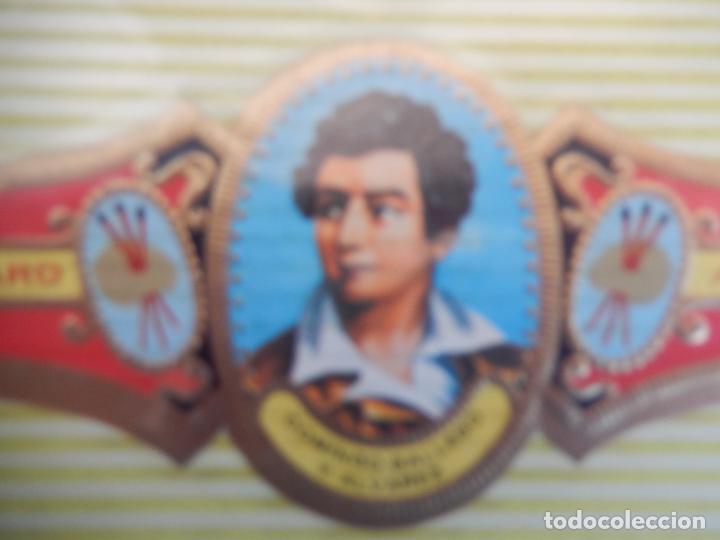 Vitolas de colecci&oacute;n: VITOLA ALVARO , SERIE PINTORES - DOMINGO GALLEGO Y ALVAREZ