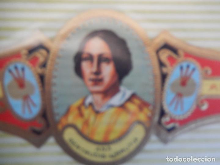 An&eacute;is de charuto de cole&ccedil;&atilde;o: VITOLA ALVARO , SERIE PINTORES - ANA GERTRUDIS URRUTIA