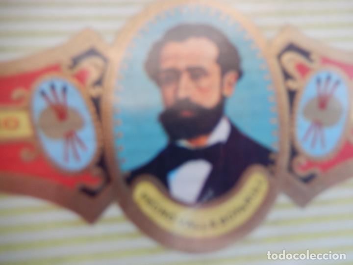 An&eacute;is de charuto de cole&ccedil;&atilde;o: VITOLA ALVARO , SERIE PINTORES - PEDRO VALLS BOFARULL