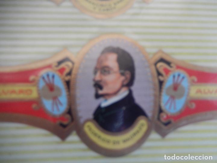 An&eacute;is de charuto de cole&ccedil;&atilde;o: VITOLA ALVARO , SERIE PINTORES - FEDERICO DE MADRAZO