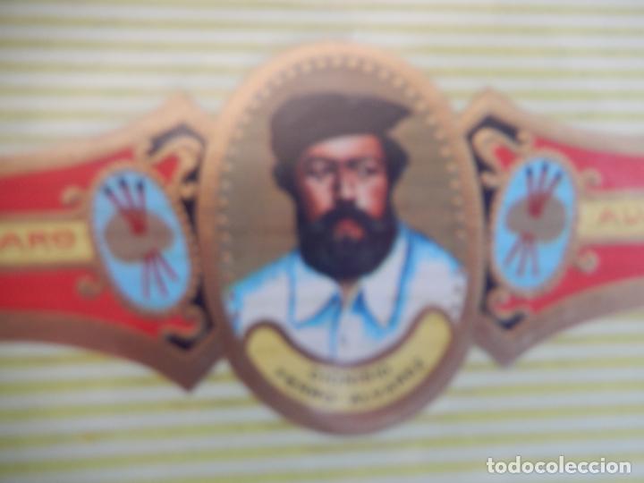 An&eacute;is de charuto de cole&ccedil;&atilde;o: VITOLA ALVARO , SERIE PINTORES - DIONISIO FIERRO ALVAREZ