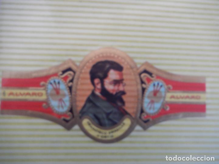 An&eacute;is de charuto de cole&ccedil;&atilde;o: VITOLA ALVARO , SERIE PINTORES - FRANCISCO PRADILLA Y ORTIZ