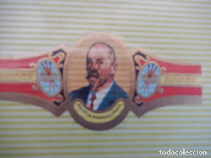 An&eacute;is de charuto de cole&ccedil;&atilde;o: VITOLA ALVARO , SERIE PINTORES - AGUSTIN RIANCHO MORA