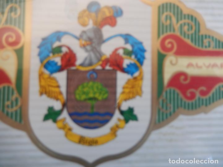 An&eacute;is de charuto de cole&ccedil;&atilde;o: VITOLA ALVARO , SERIE III HERALDICA -ESCUDO DEL APELLIDO - RIOJA